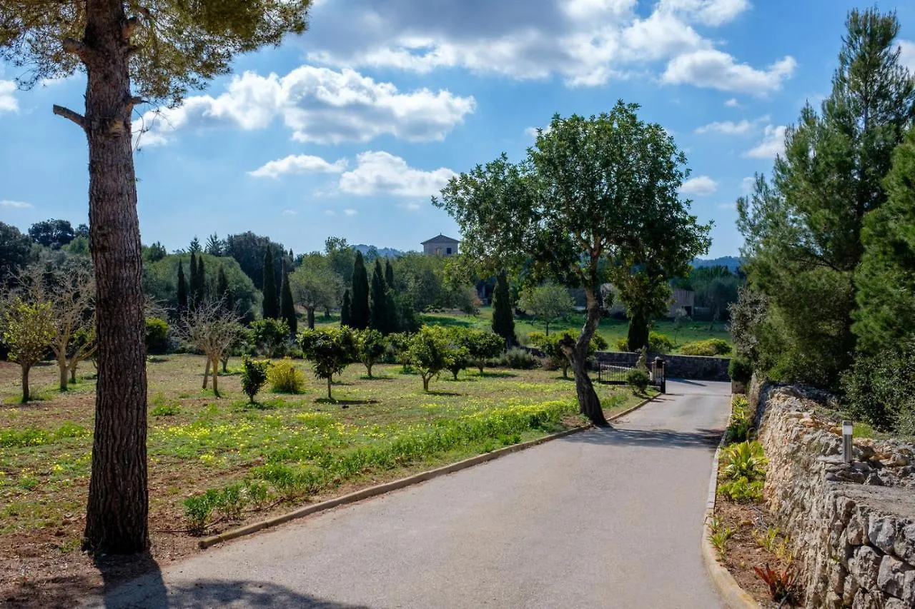 Son Vorera, Situada En Una Colina, Con Piscina. Es Carritxo Holiday home